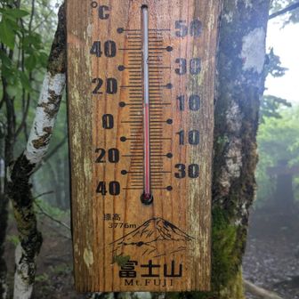 頂上は10度