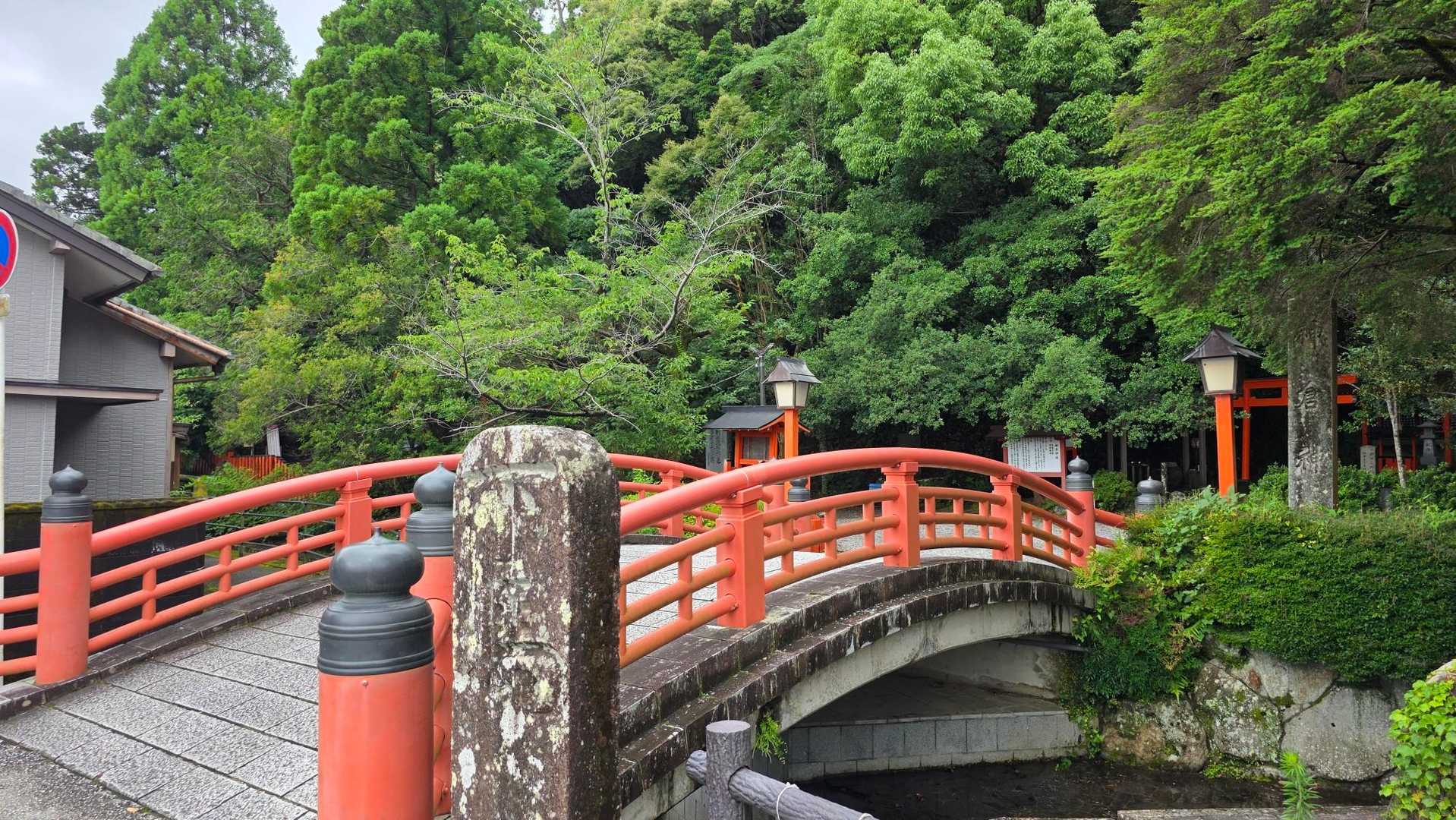 はい。到着。帰ってきました。
いや。ほんと、撮るもの無かったんです。