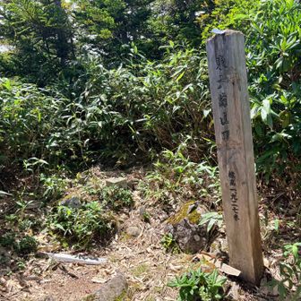 東大巓山頂は眺望なし