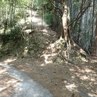 京塚山はここから登ります。少しわかりづらいので注意