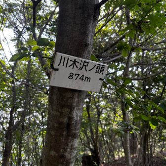 後々絶対後悔するから取れる山は取る😊