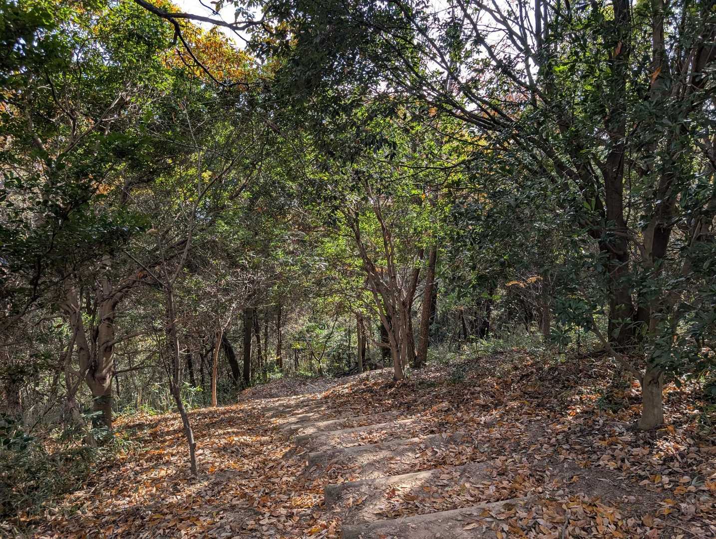野鳥の広場へ🚶💨
