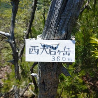 西大岩ヶ岳山頂（標高: 360m）に到達。

木々に遮られてますが、
六甲山系や三田市街地を望む事は
一応出来ます。

絶景と言う程ではありませんが…🙄