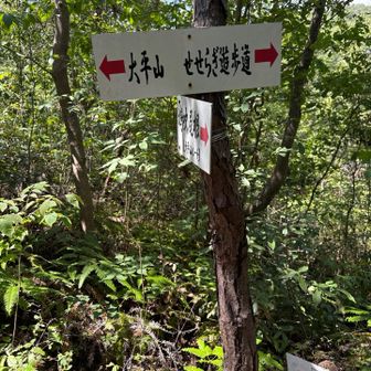 右➡️せせらぎ遊歩道