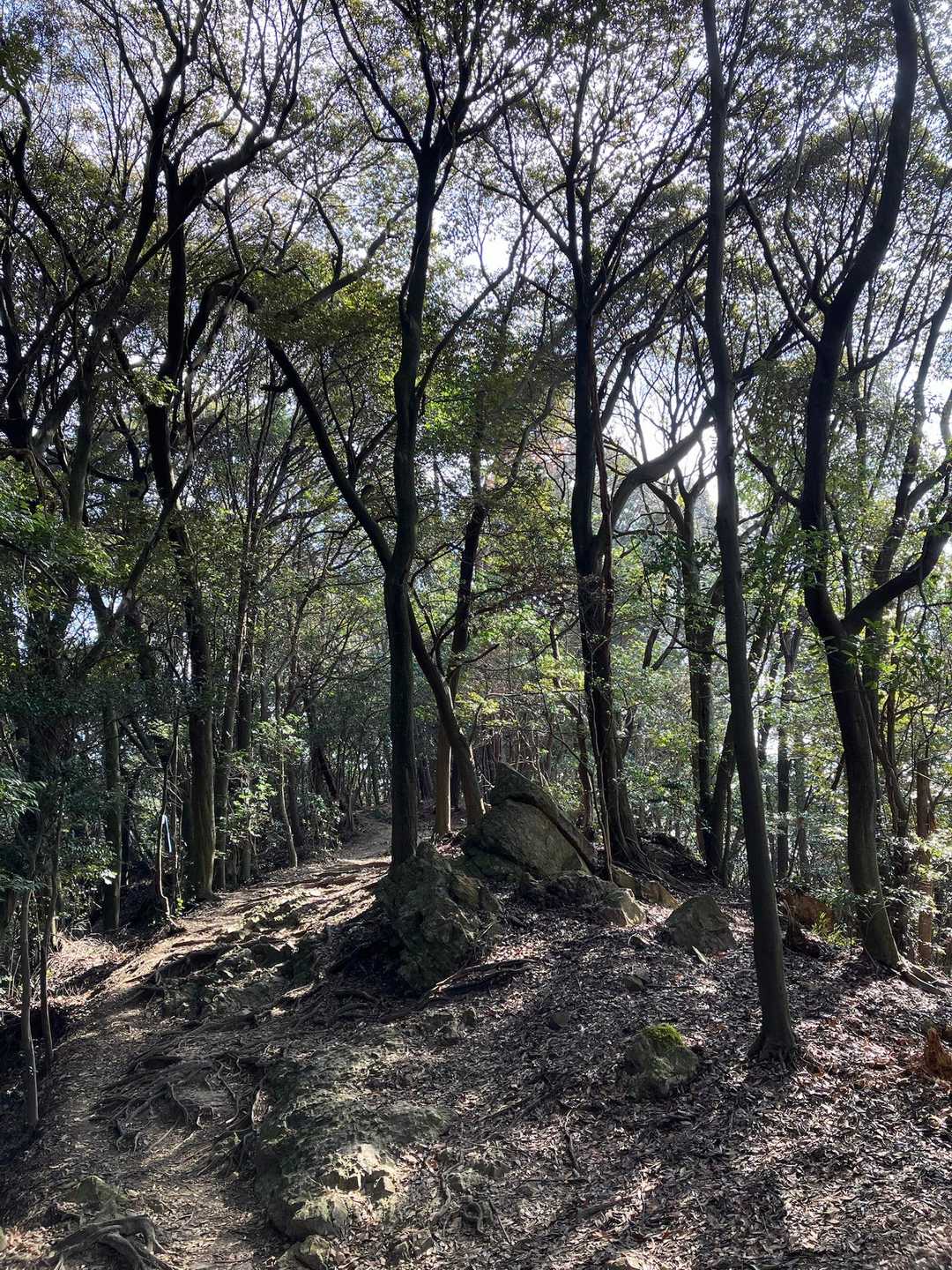 いつ来ても心地いい場所✨️