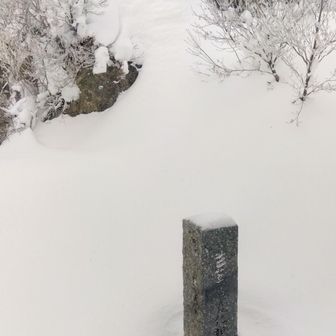 旧羅漢山 山頂1334m
昨年は奥の大きな岩がほとんど隠れていた