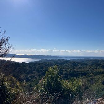 この辺りでもう海がキレイ