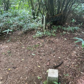 大峯山頂上から少し西、駐車場からの直登ルートと西大峯山への分岐のあたりにあります。
あれ、ここが頂上？なんて錯覚に陥りそうです…
二等三角点。点名: 大峯山、標高: 1039.55 m。
頂上はもうすぐです。