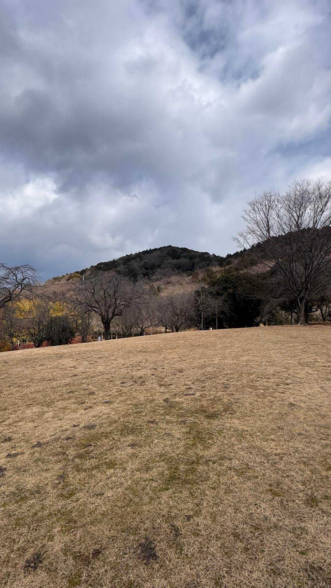 東谷山 往復コースの写真