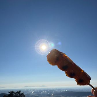 たんご一個追加で🍡