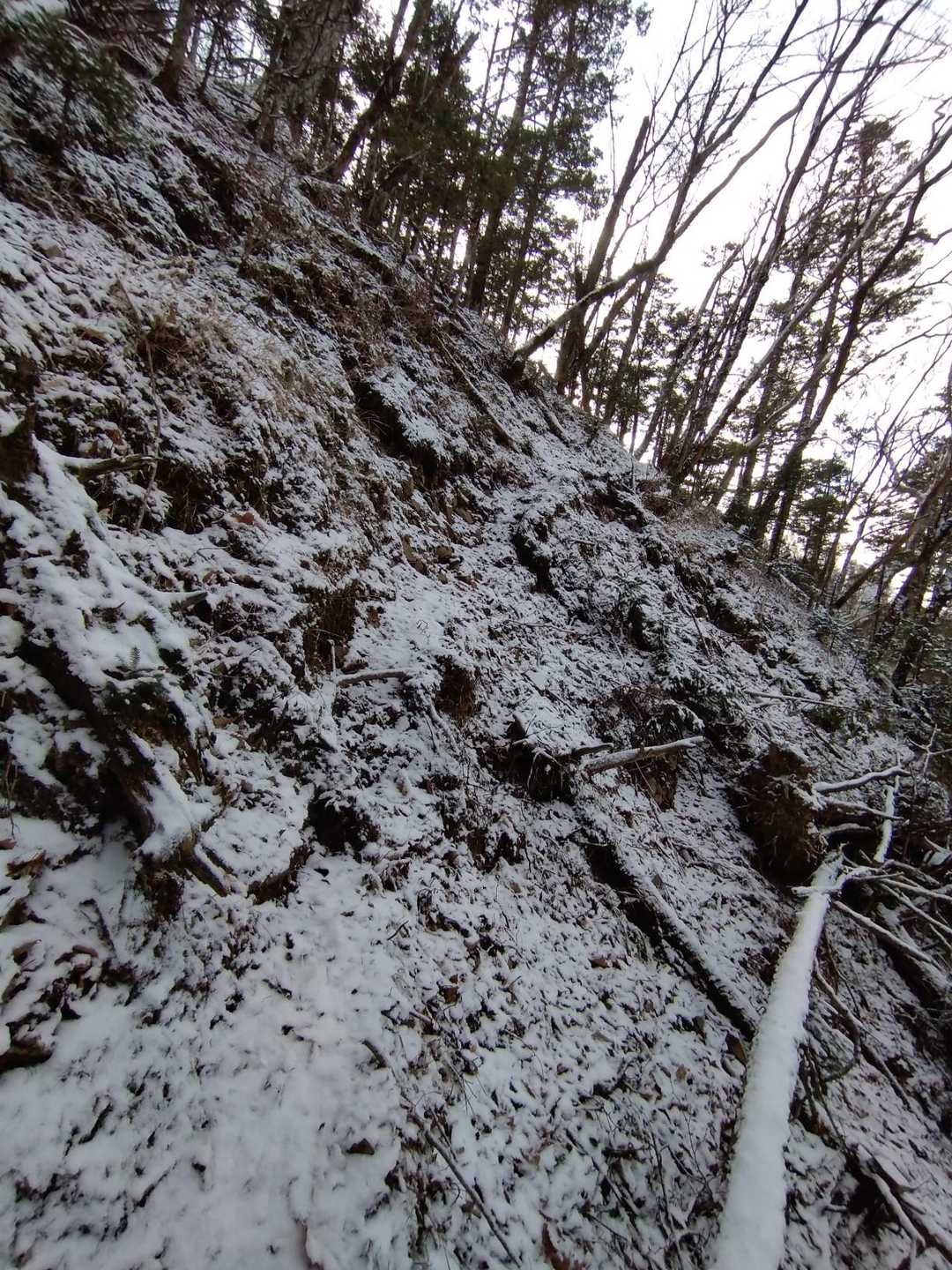 何気に
傾斜のきつい巻き道

滑落⚠️
慎重に行きましたよ。

何処を通っても
良さそうでしたが

最短を行きたがるw