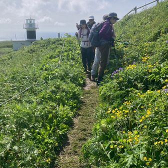 元知灯台を経て