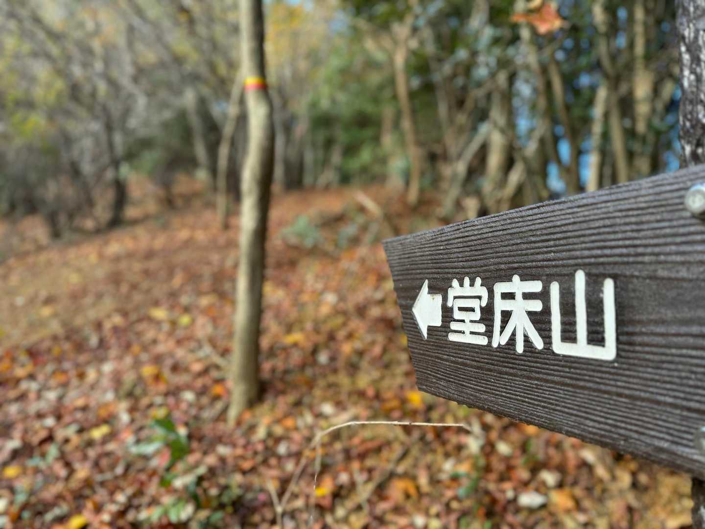 あと少しですかー😫？
風が冷たいなーと思ったら4度くらいでした
登るにはちょうど良い👍