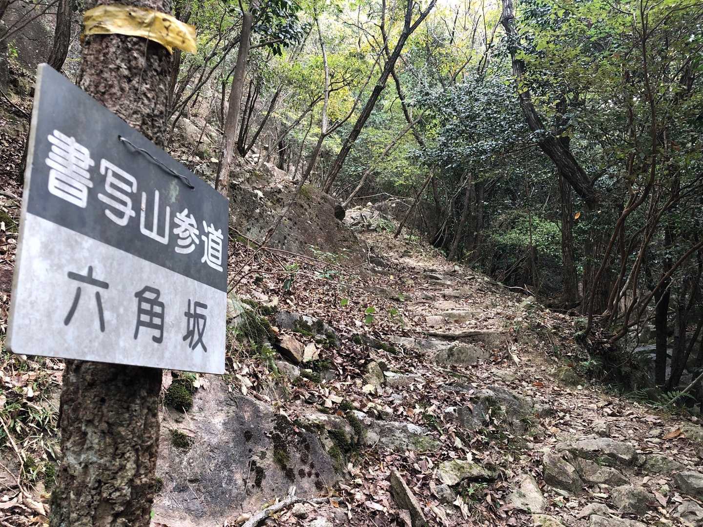 ピンクテープとかは無いけど、基本迷いません