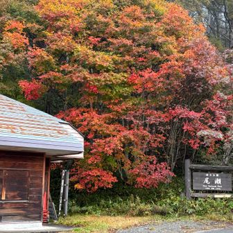 大清水の駐車場で、素晴らしい紅葉🍁👍