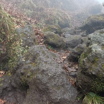 ここからが大変、ジュクジュクのベチャベチャ