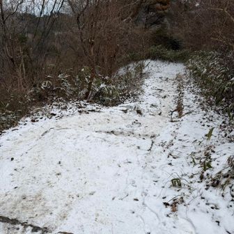 一日中晴れの天気予報外れました。雪も降り始め、ここでエスケープ