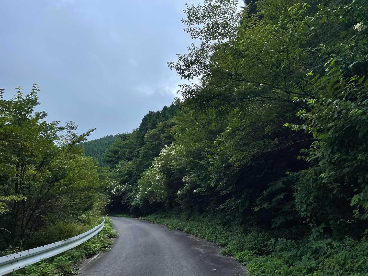 何となく怪しい雲行き