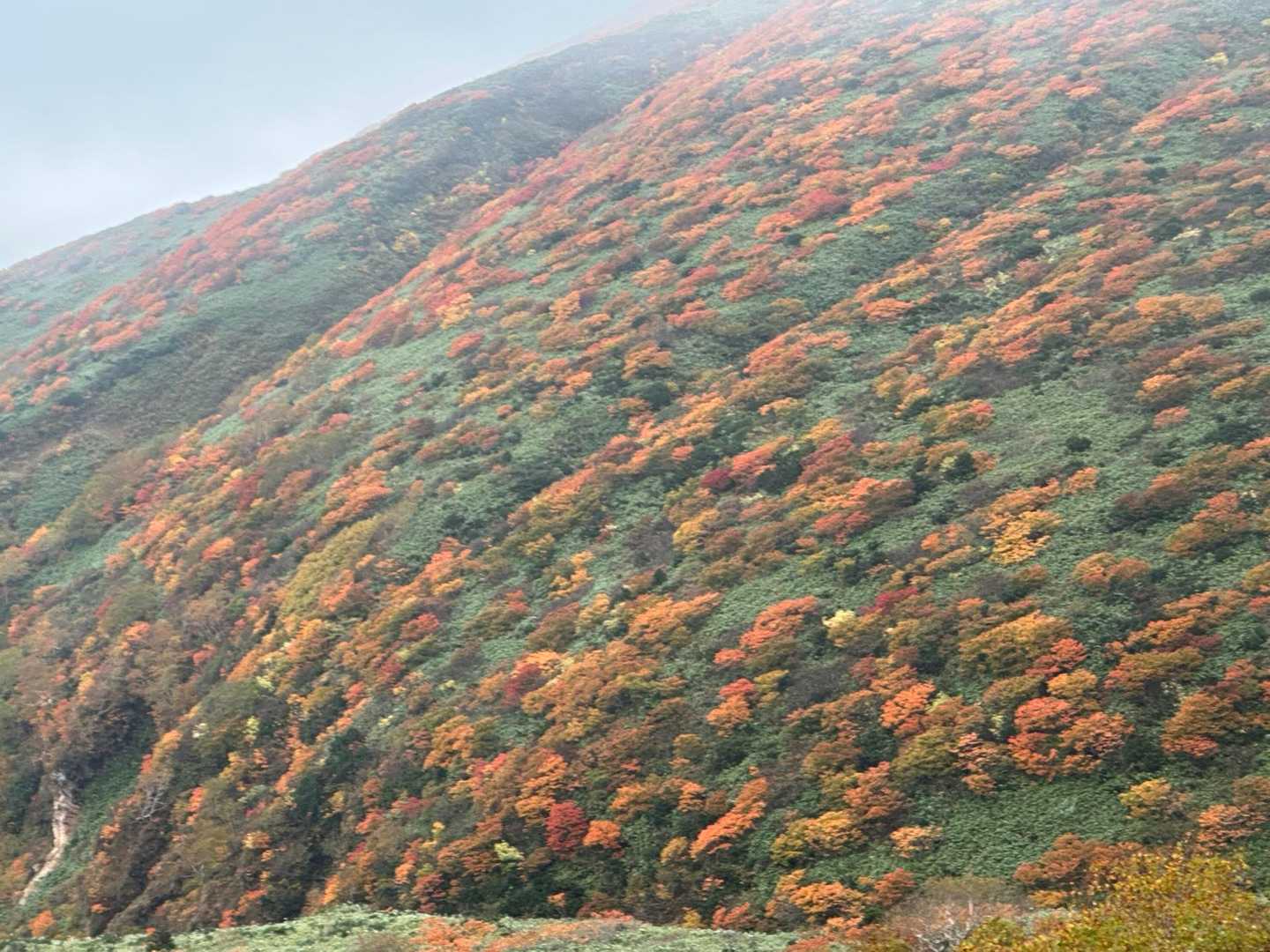 下山後に少しガスが晴れて来ました🍁