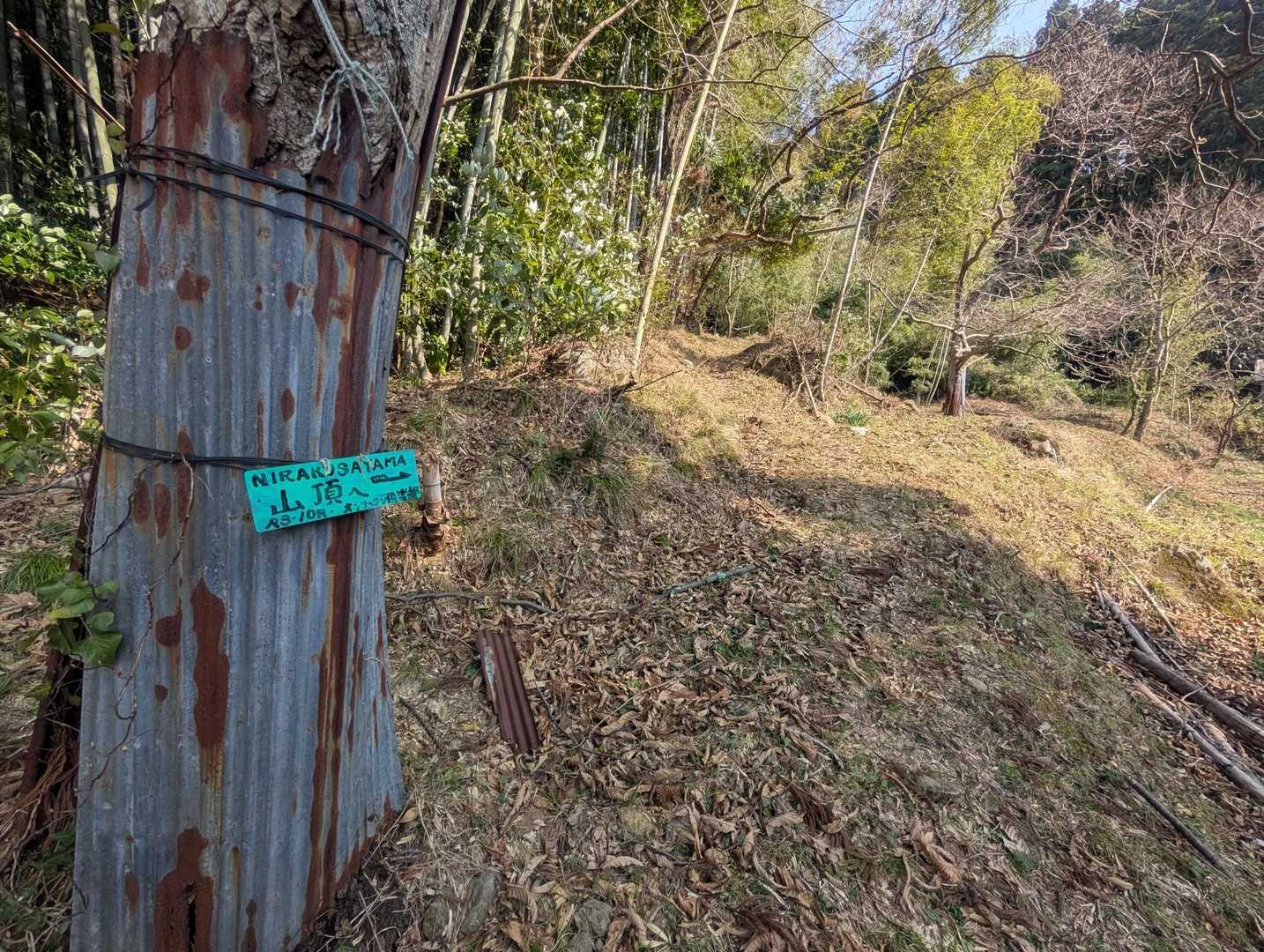 韮草山 往復コースの写真