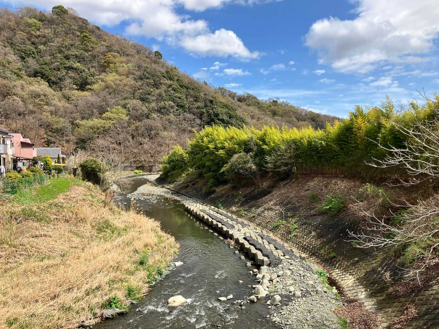 里山らしい風景🎶
