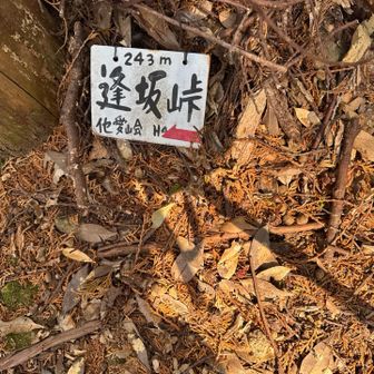 逢坂峠に向かいます！