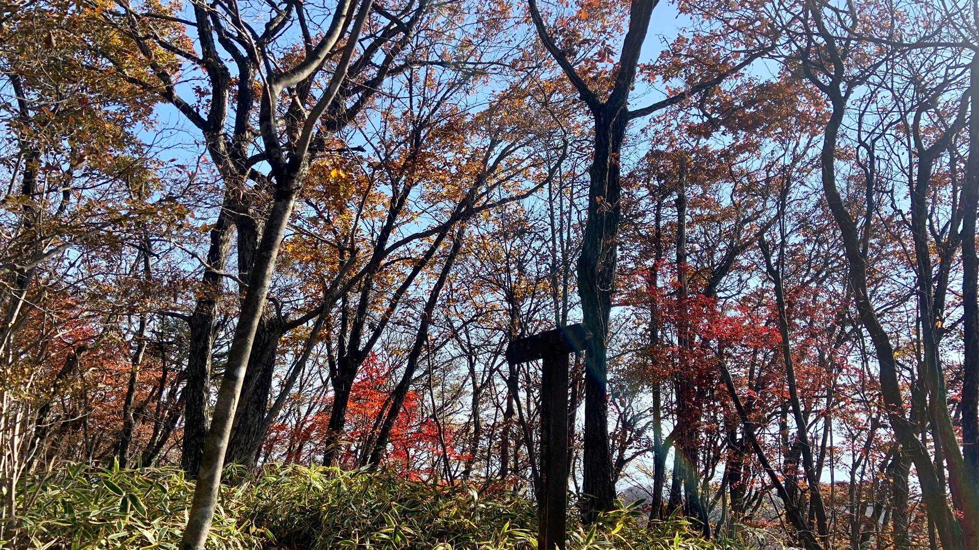 小鐘原ヶ岳　三角点があったかな

