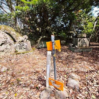 屋山山頂は眺望が無いが、当時は木が無くて下界を見張っていたのかなあ?