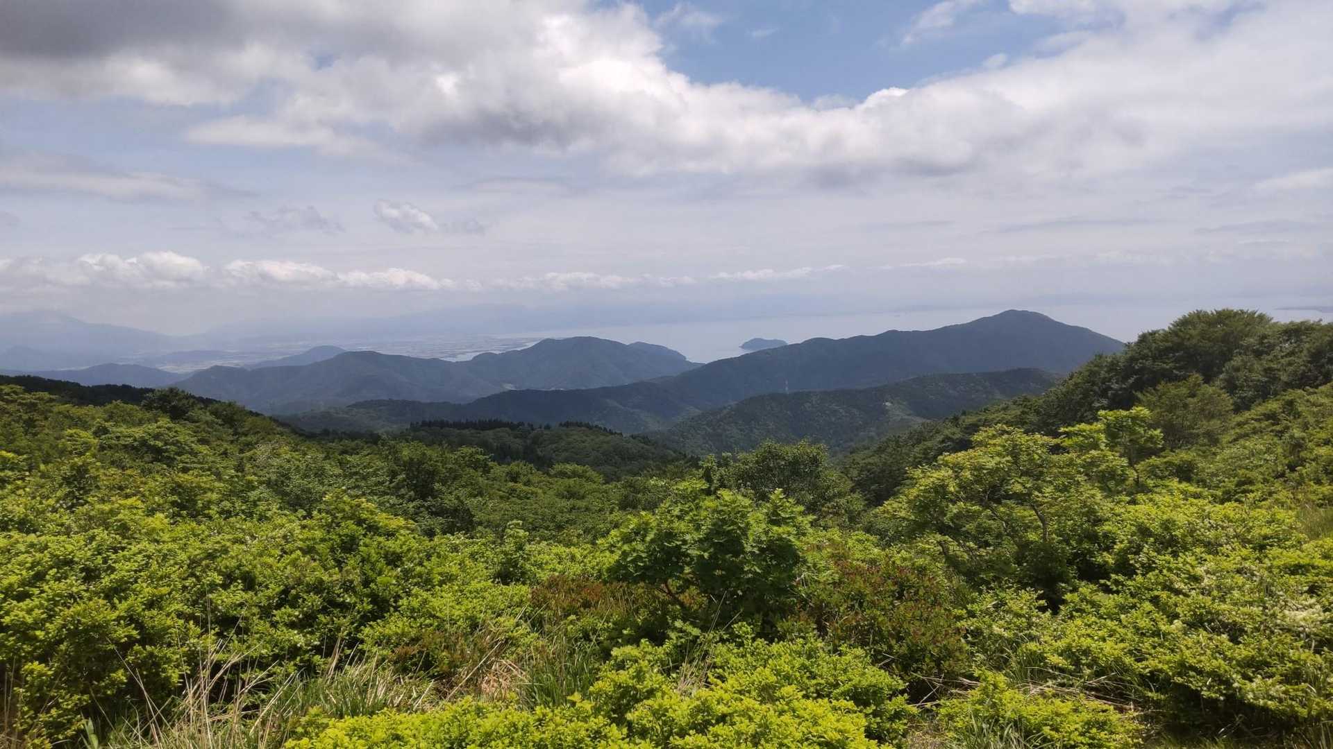 綺麗です　癒されます