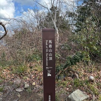 山頂標識
山頂からは残念ながら大山は見えません
