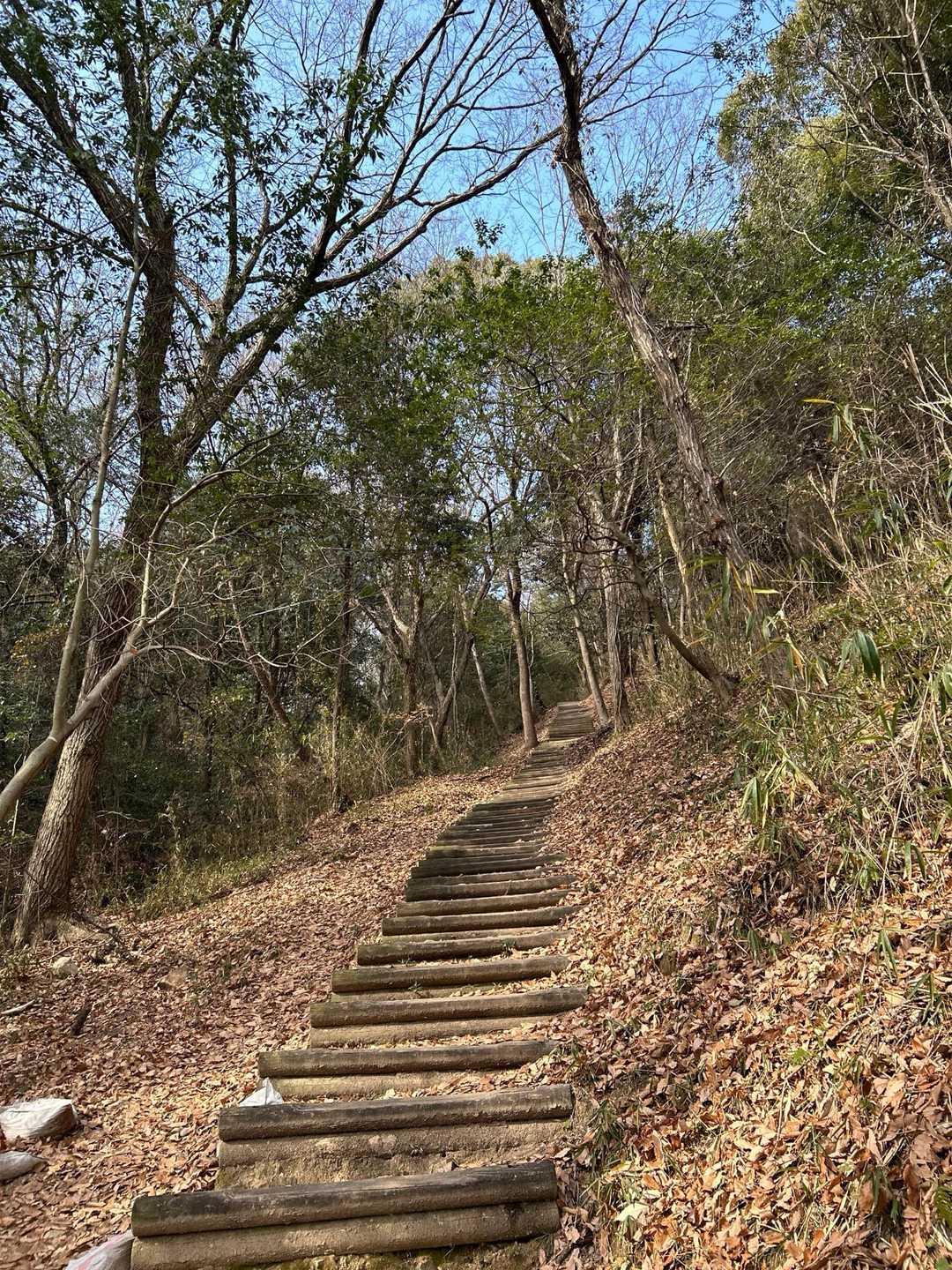 長い階段
天気も良くて暖かい☀️春みたい