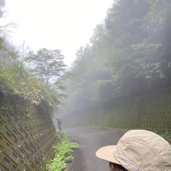 車道歩き中🚶‍♀️ hisaちゃん写真中🤳
少し　小雨のような強力ミスト浴びました😅