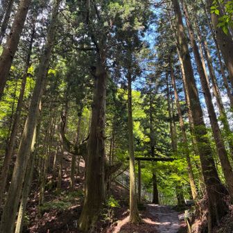 腰掛けて、いて欲しい👺

こちらの分岐から奥の院へ。
