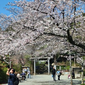 みんなこの時期を楽しんでるのが伝わってくるね。いい写真