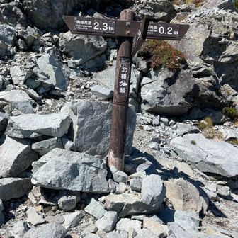 北穂分岐。ここから鬼門の区間。奥穂方面へ