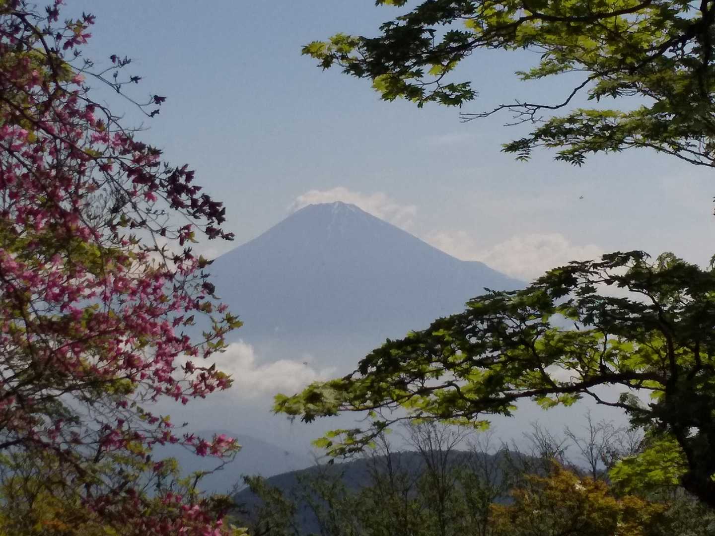 うつろぎ山-細島峠-仏谷山-地蔵峠-岩岳-下十枚山-十枚峠 周回コースの写真