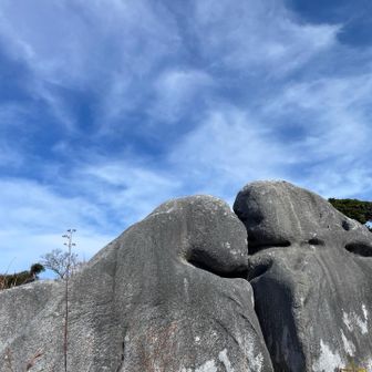 最後にキス岩に寄って本日の山行終了
やっぱり天気のいい平尾台は最高です