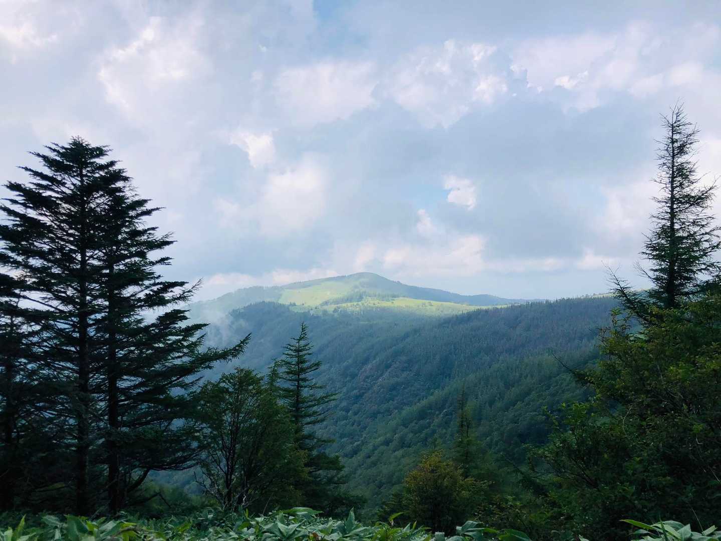 明日からは晴れてくれよー🙏