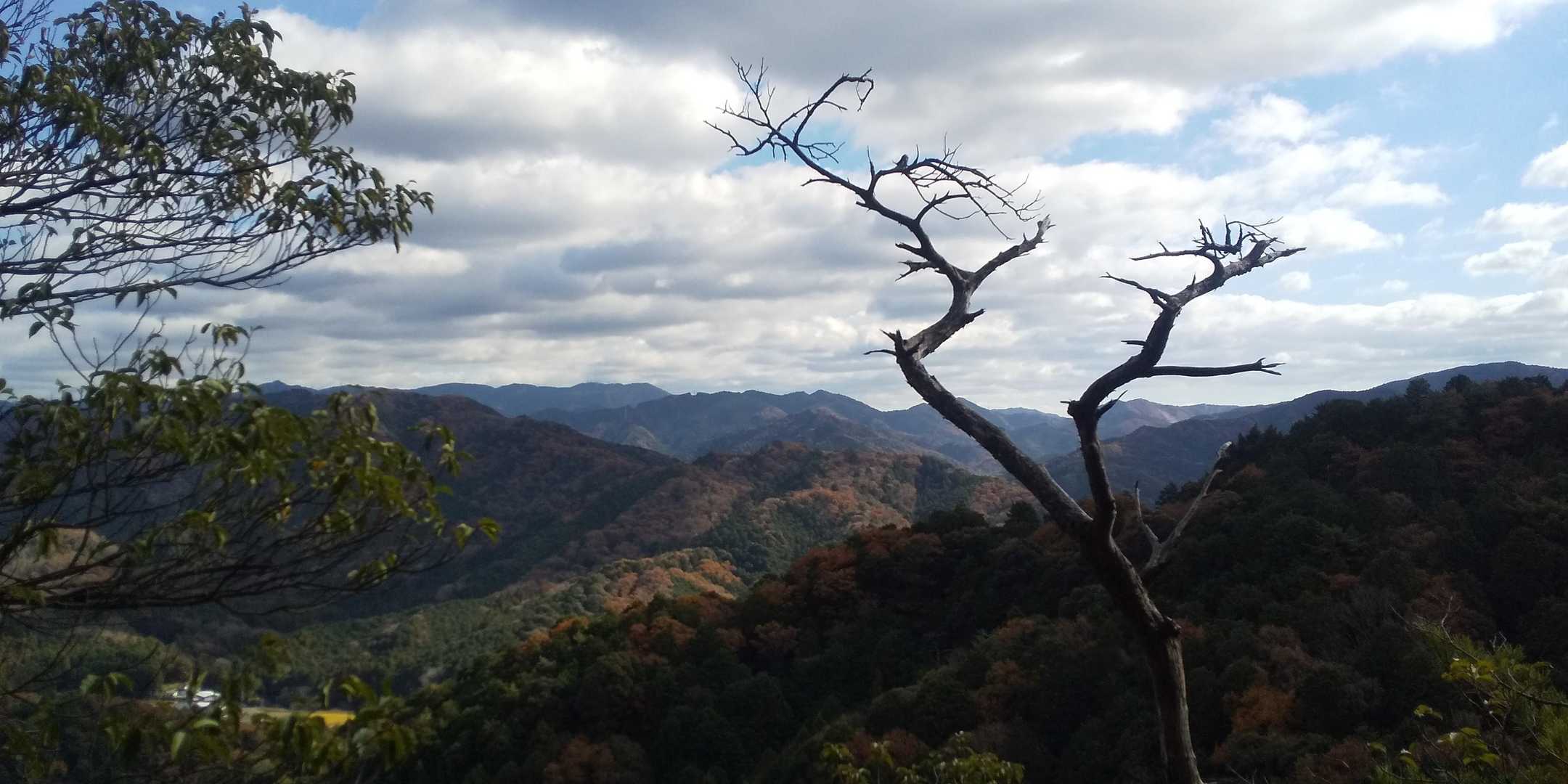 鬼沢八幡社-おおだ山 往復コースの写真
