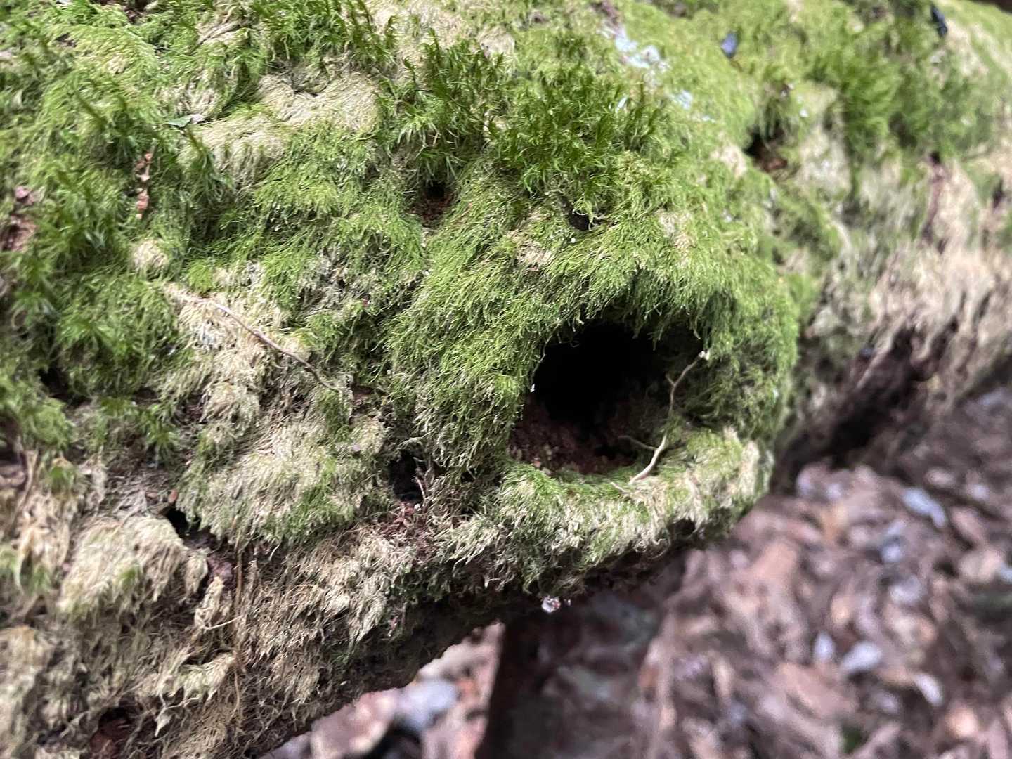 見られてる😱怖っ