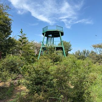 展望台できてた