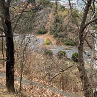 188号沿いの駐車場🅿️が見えた！

お疲れ山⛰️でした
って思ったら、、、