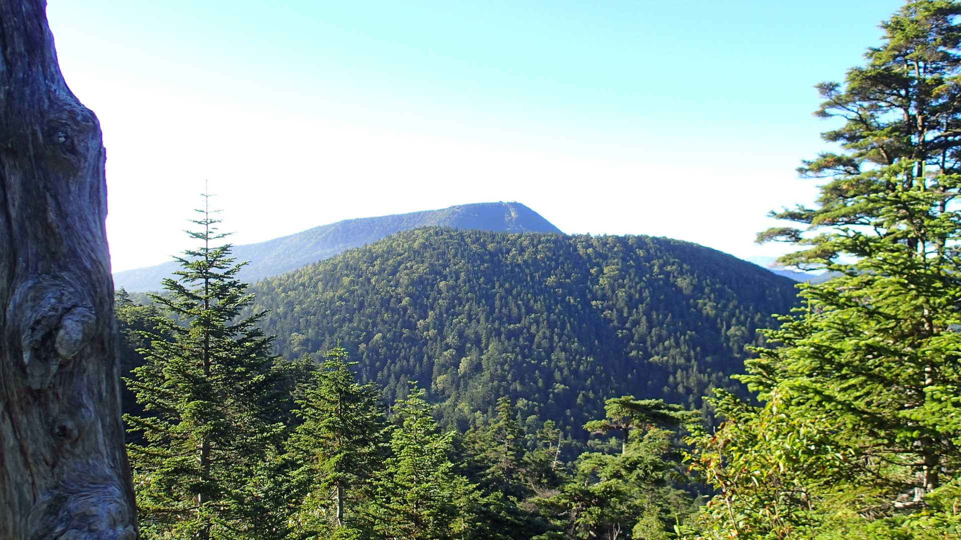 鉢山と後ろに横手山