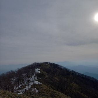 冬の間にシリセードと追いホイップで体脂肪が３％増えました👻
たくましくなったおしりが重くて、山頂まで一時間切れず👻