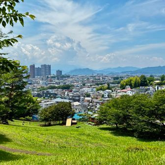 橋本駅方面はタワマンが目立つめちゃ開発中って雰囲気だけど、日枝神社へ下山中に子ダヌキと遭遇（猫かと思って近づいたらすぐ逃げてしまったので写真なし）
まだまだこの辺は自然豊かな里山