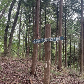 続く大沢の頭を通過して…