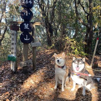 山頂。よく頑張ったね。光り輝く海ちゃん。