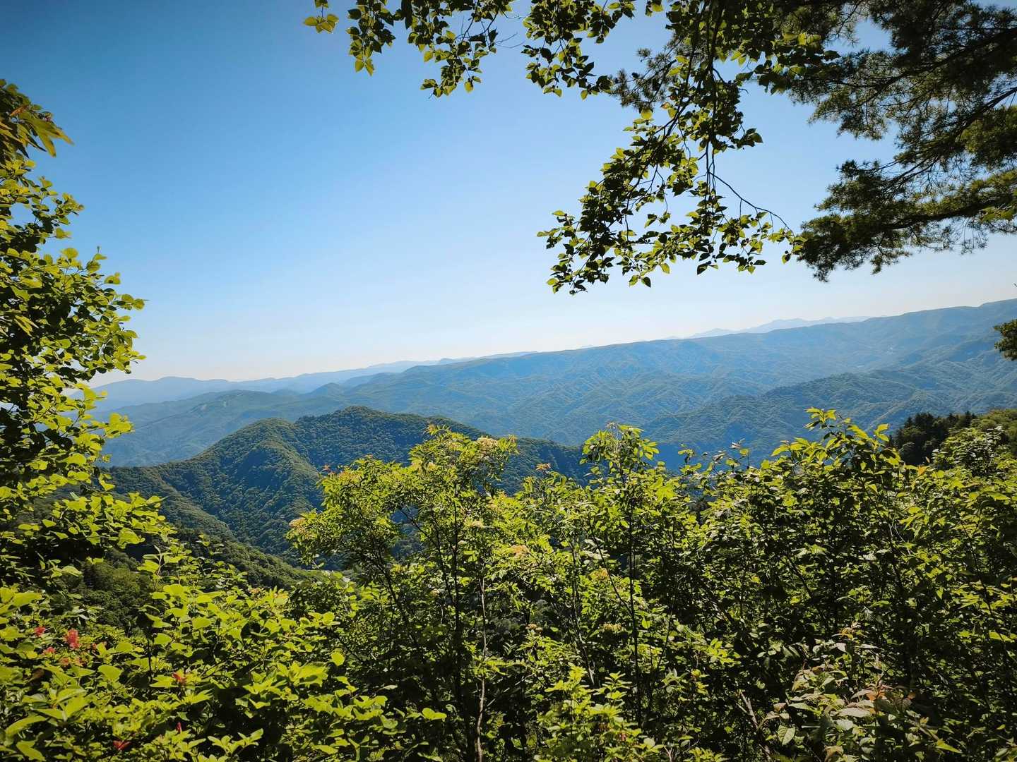 大博多山 往復コースの写真