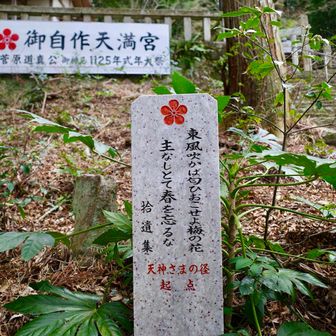 この句だけ知ってる😆