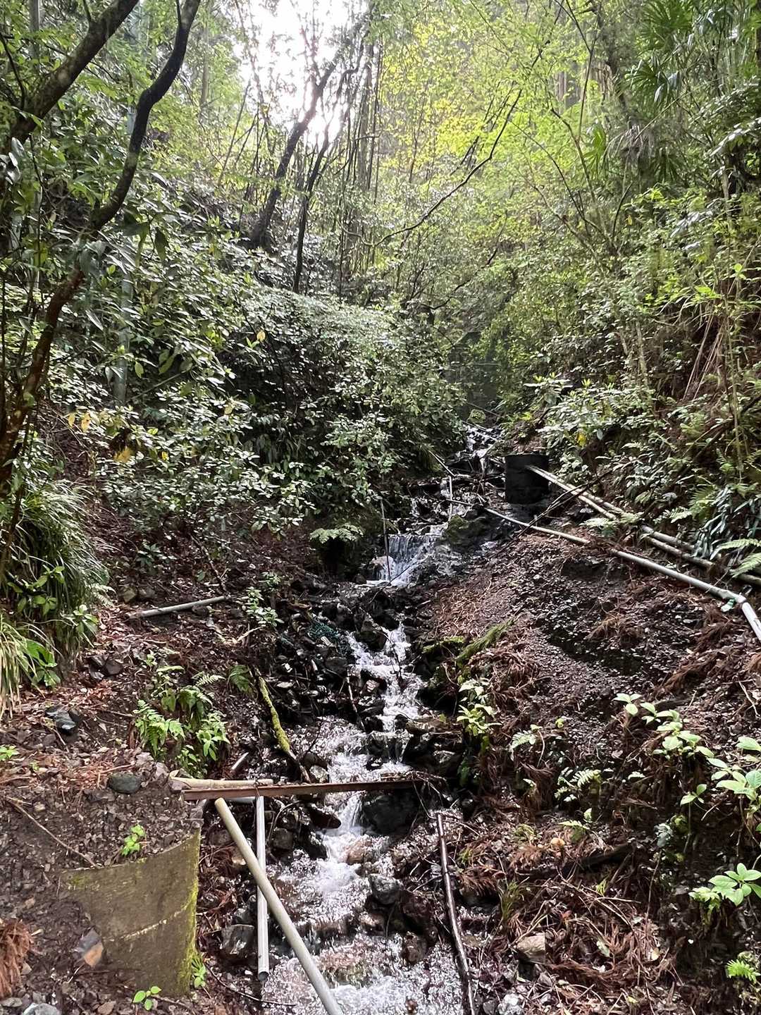 プチ滝